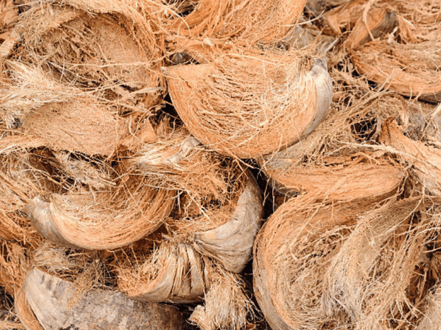 Raw Material – Coconut Husk